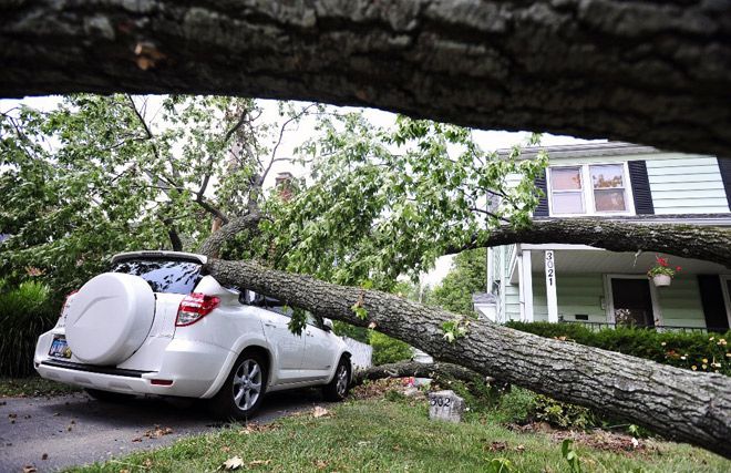 A massive limb crushed a Toyota and took down a number of nearby powerlines in Clintonville, 2012.