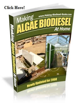 algae ebook